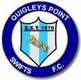 quigleys-point-swifts